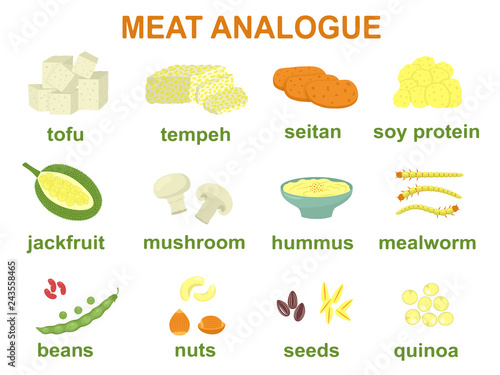 Set of meat alternative or analogue for vegans, vegetarians, healthy eating. Food icons of soy protein, nuts, tofu etc. Color vector illustration isolated on white