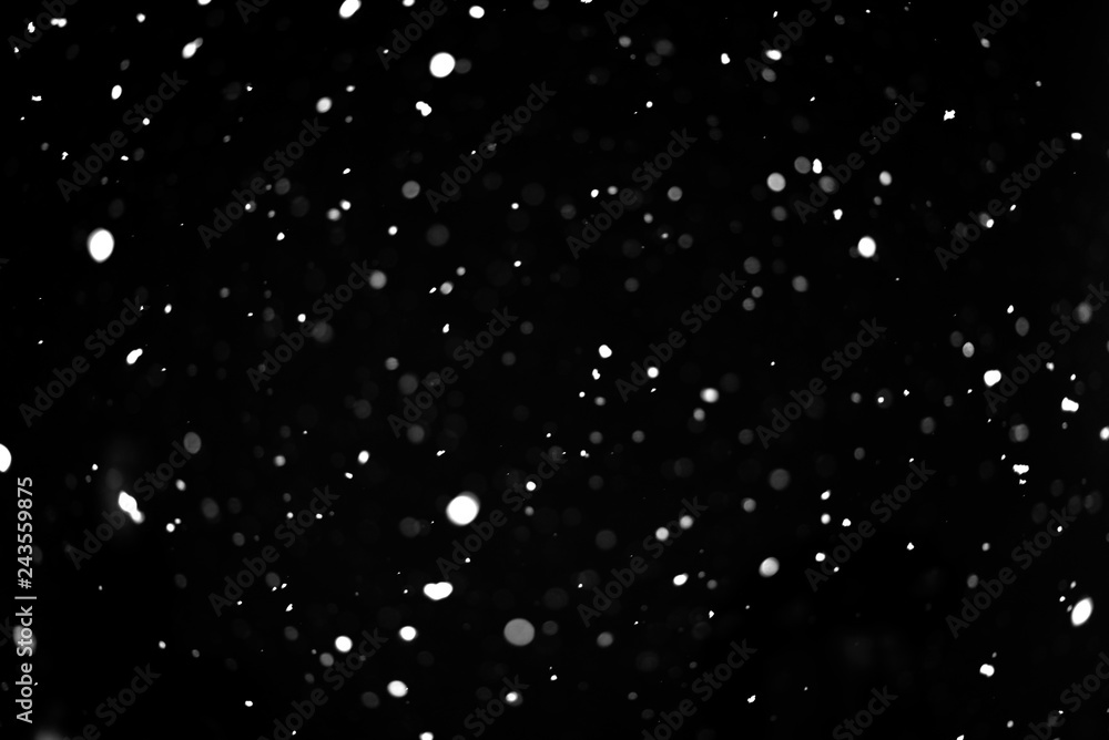 Snow on black background. Falling snow texture.