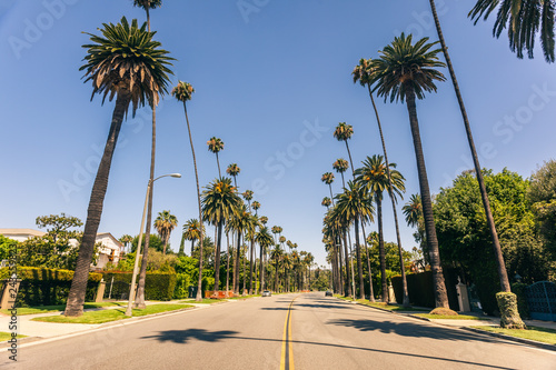 Beverly Hills street photo