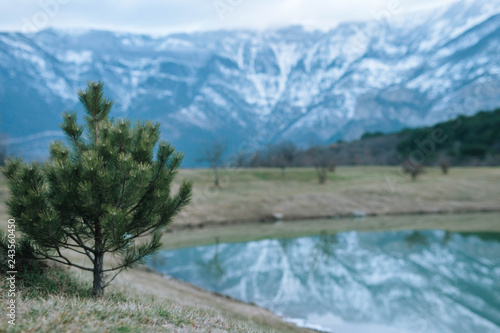 ..Christmas tree on the background of snow-capped mountains and a lake with reflection...