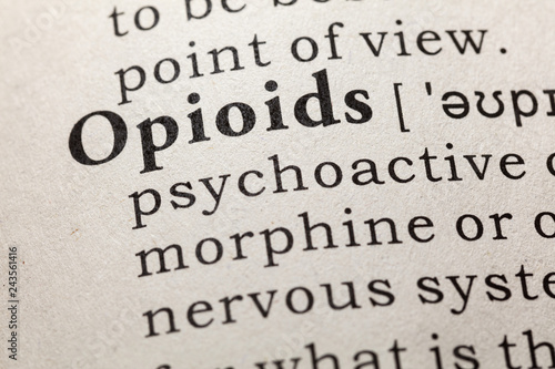 definition of opioids photo