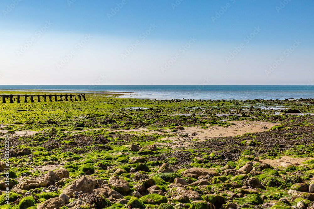 Low tide on a rocky Sussex beach, during summer