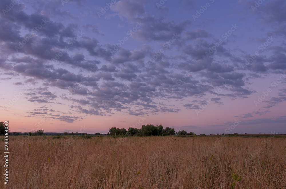 Running clouds. Horizon in the field. Yellow field. Running clouds. Horizon in the field. Yellow field.
