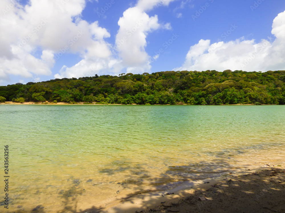 A view of Lagoa da Mata, beautiful lagoon surrounded by preserved Atlantic Forest on Itamaraca island, Brazil