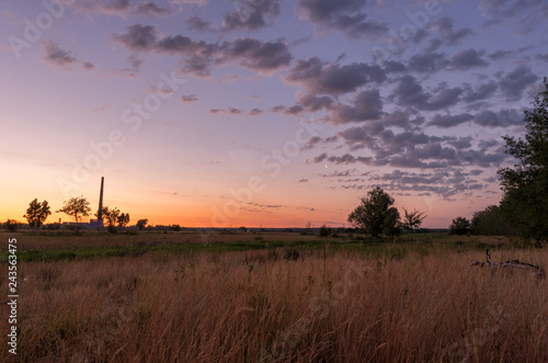 Dry field. Purple sky Sunrise in a dry field.