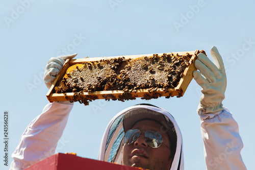 Beekeeper examining honeycomb frame against clear sky at apiary
