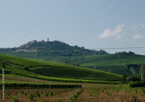 Wallpaper Mural La morra, Piedmont, Italy. July 2018. An idyllic view of the village Torontodigital.ca