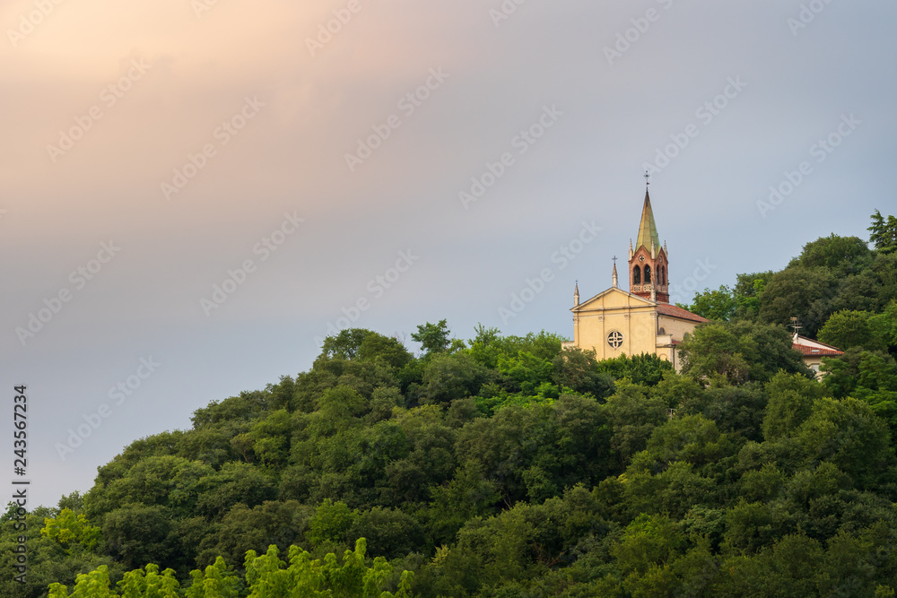 the tower of an old church surrounded by trees