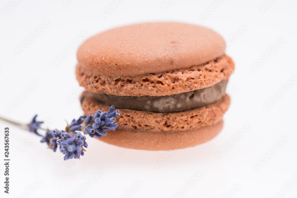 brown macarons and lavender brown macarons and lavender