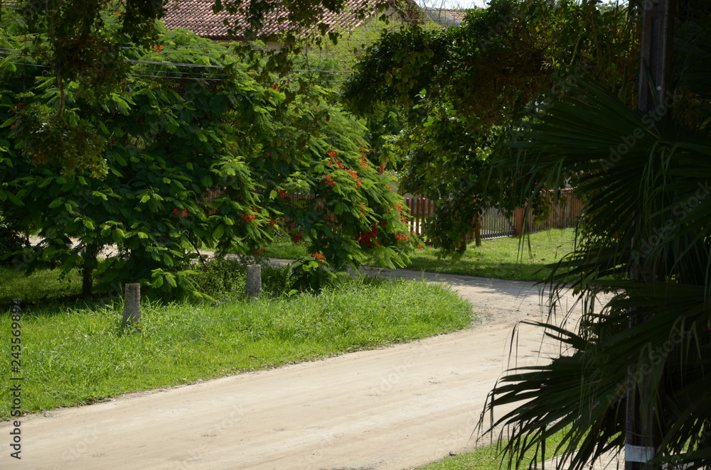 Obraz premium The path