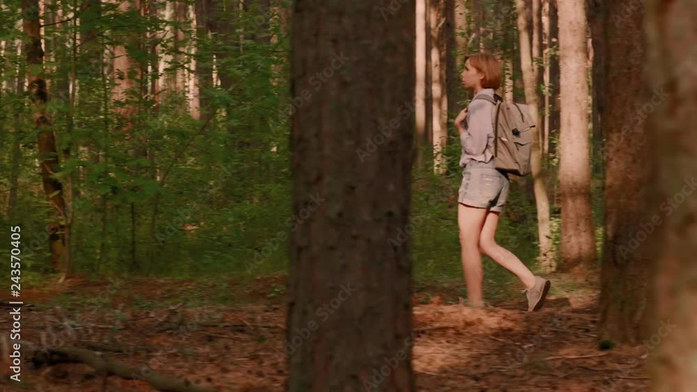 Hipster backpack women enjoying walking in forest surrounded by thick trunk trekking shot full shot traveller casual girl admiring summer nature side view Hipster backpack women enjoying walking in forest surrounded by thick trunk trekking shot full shot traveller casual girl admiring summer nature side view