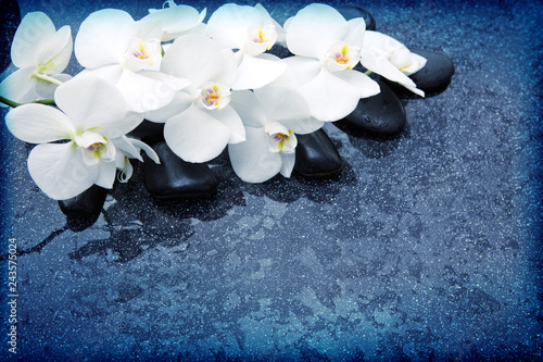 Spa background with white orchid and black stones.