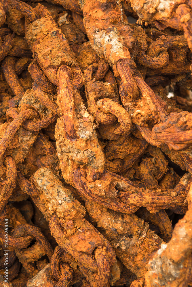 Detail Of Massive Rusty Chain In A Harbor