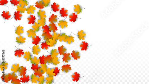 September Vector Background with Golden Falling Leaves. Autumn Illustration with Maple Red, Orange, Yellow Foliage. Isolated Leaf on Transparent Background. Bright Swirl. Suitable for Posters.