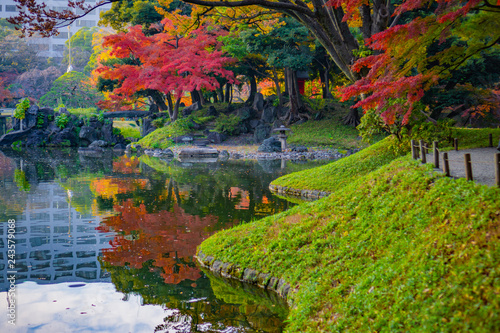 Colorful autumn leaves in Japanese garden with reflection on water photo