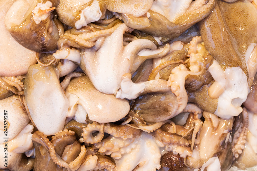 Landscape of fresh caught and cleaned octopus Landscape of fresh caught and cleaned octopus