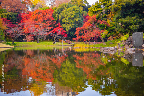 Colorful autumn leaves in Japanese garden with reflection on water
