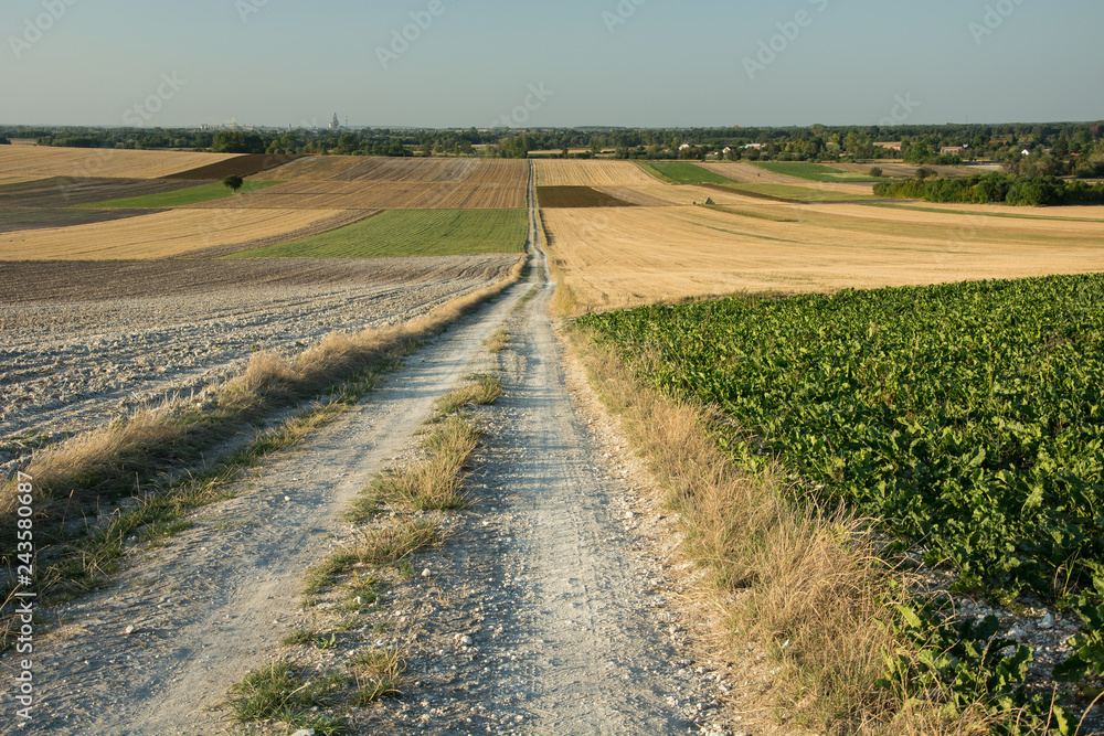 A very long straight road through fields, horizon and sky