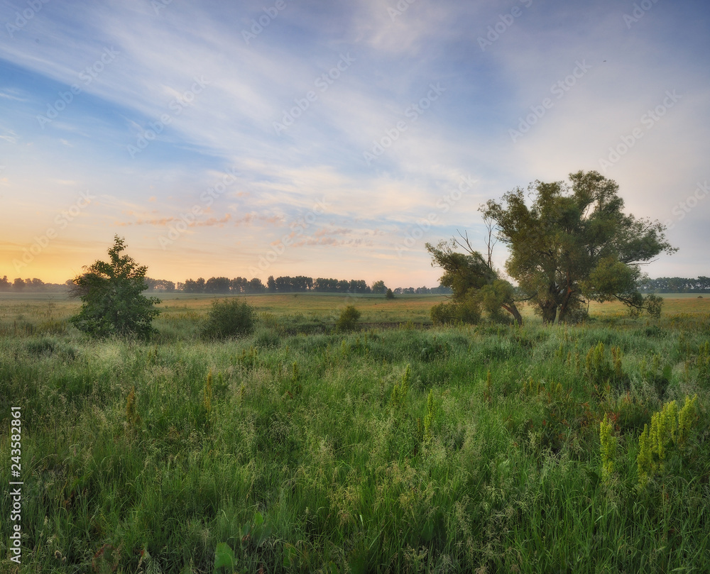 spring morning valley of the picturesque river. foggy dawn