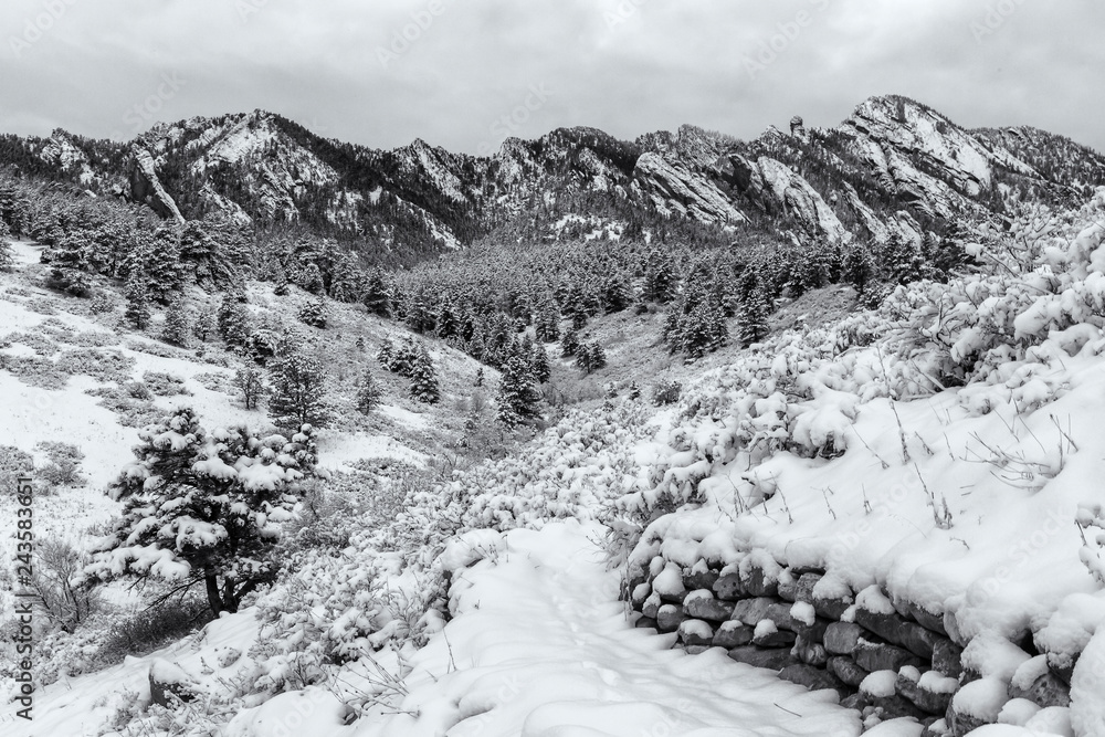 Shadow Canyon Flatirons Snowy Black and White