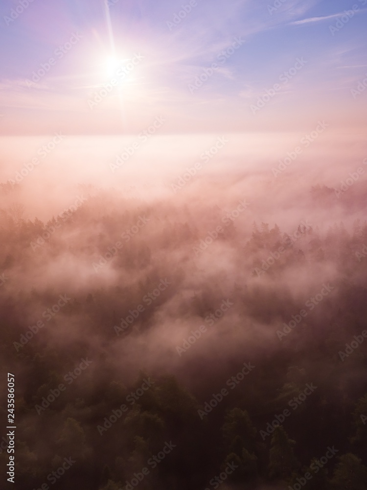 Autumnal aerial landscape with fog over land