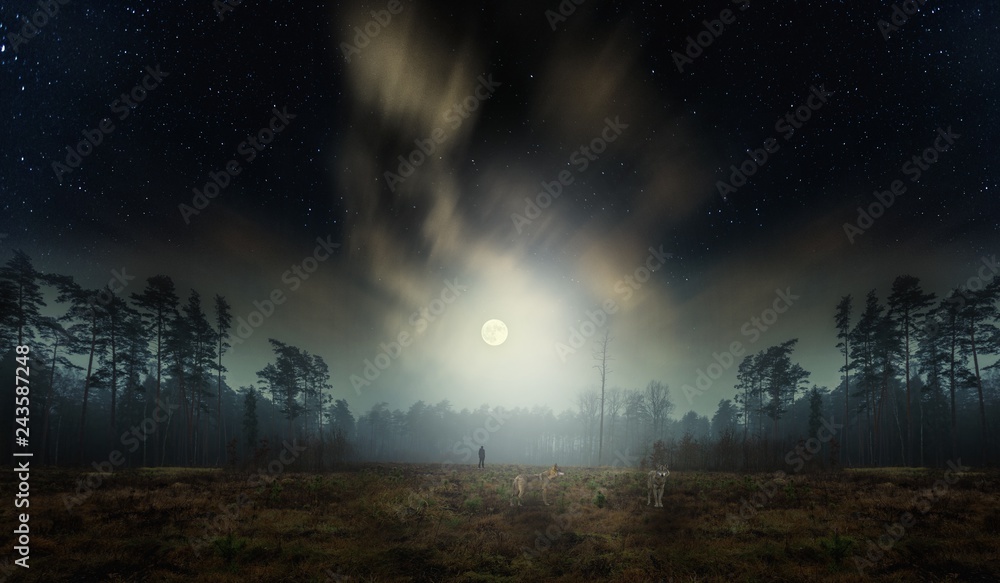 Fototapeta premium Dreamy surreal landscape with starry night sky and man silhouette.