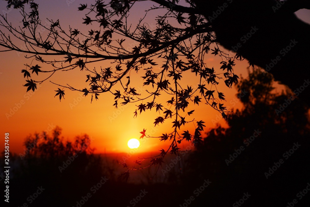 The moment ofvthe moving sunrise The moment ofvthe moving sunrise