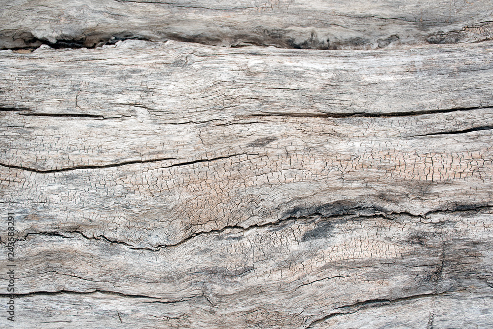 Close up of rustic gray and brown weathered wood Close up of rustic gray and brown weathered wood