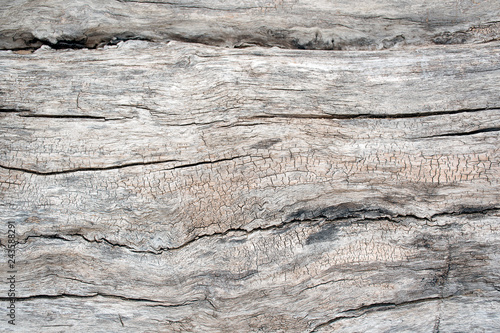 Close up of rustic gray and brown weathered wood