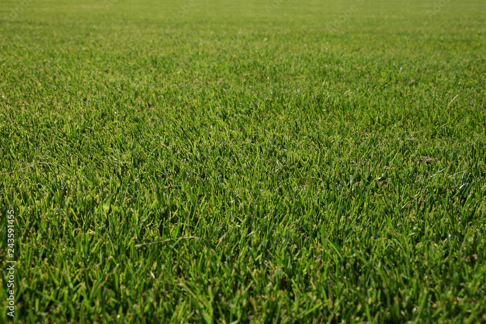 Green grass football hockey field background texture Green grass football hockey field background texture