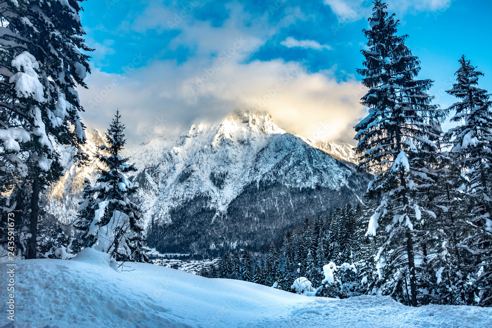 berglandschaft im winter