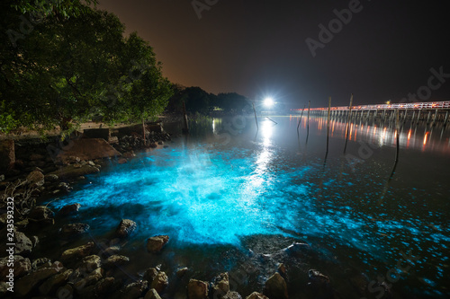 Bioluminescent Plankton Light Up the Sea, The Mesmerising Phenomenon making the Sea Glows Bright Blue at Sapan Daeng (Red Bridge) at Mutchanu Shrine, Samut Sakhon Province, Thailand.