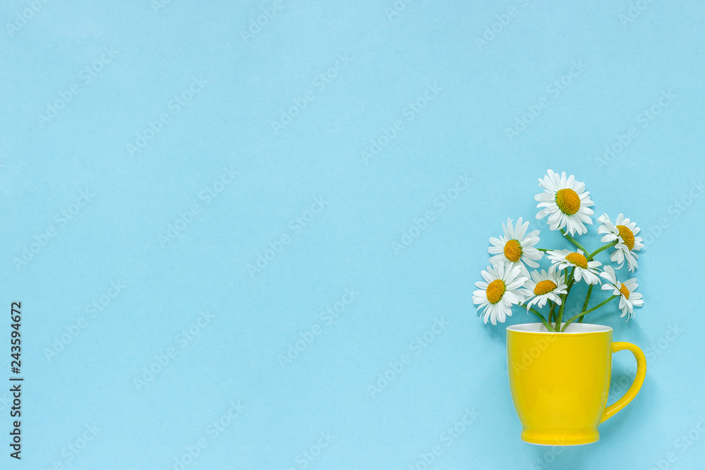 Bouquet chamomile daisies flowers in yellow mug on pastel blue color paper background Copy space Template for postcard, lettering, text or your design Flat lay Top view Concept Hello summer