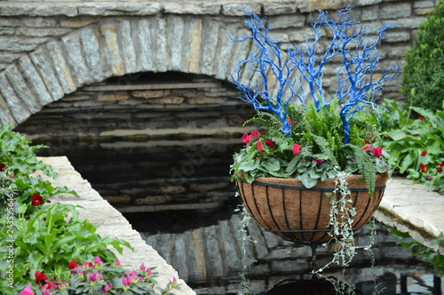 Flower basket in the greenhouse