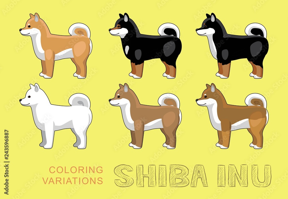 Dog Shiba Inu Coloring Variations Vector Illustration
