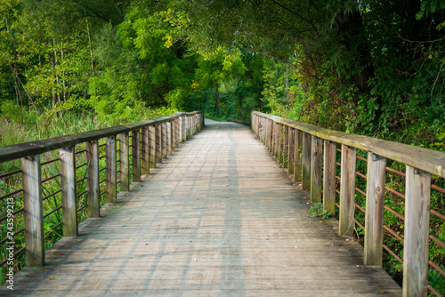 Wooden Boardwalk at Cuyahoga Valley National Park