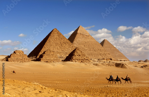Fototapeta pyramids giza cairo in egypt with camel caravane panoramic scenic view