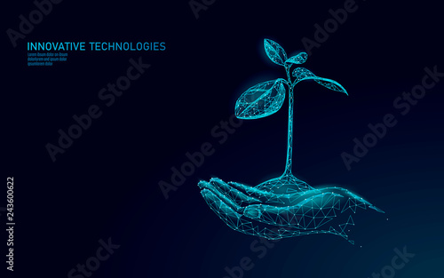 Hands holding plant sprout ecological abstract concept. 3D render seedling tree leaves. Save planet nature environment grow life eco polygon triangles low poly vector illustration