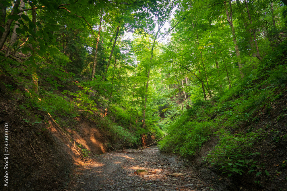 Fototapeta premium Walking Path along the River at Cuyahoga Valley National Park