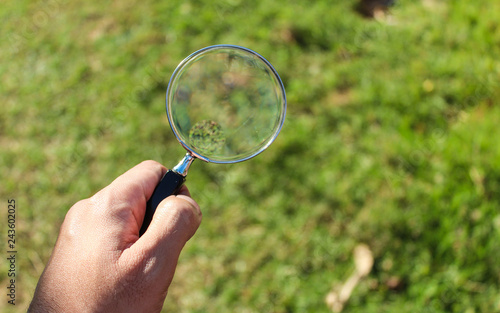 Hand holding a magnifying glass with blank background