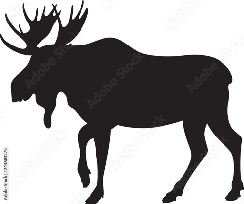 moose, vector illustration , black silhouette profile 