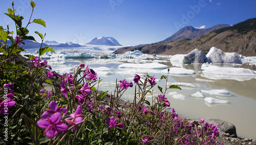 Llewellyn Gletscher in Atlin Kanada photo