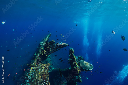 Underwater world with tropical fish and ship wreck in Bali