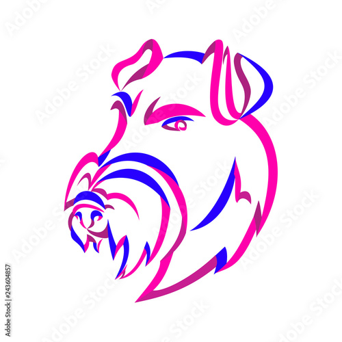 Curly Ribbon style illustration of head of an angry and aggressive Manchester Terrier, a breed of dog of the smooth-haired terrier type  done in twisted free flowing line art on isolated background.