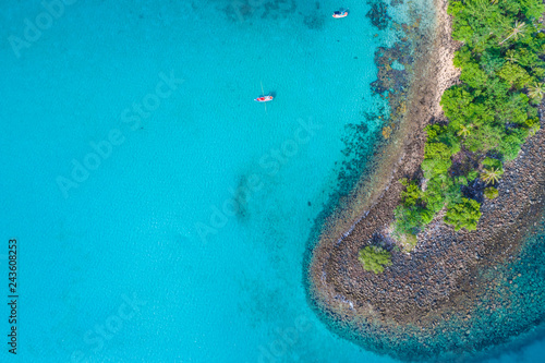 Top view of idyllic blue sea white sand beach with coconut palm tree island