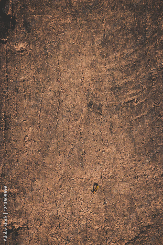 Naklejka premium old wood background