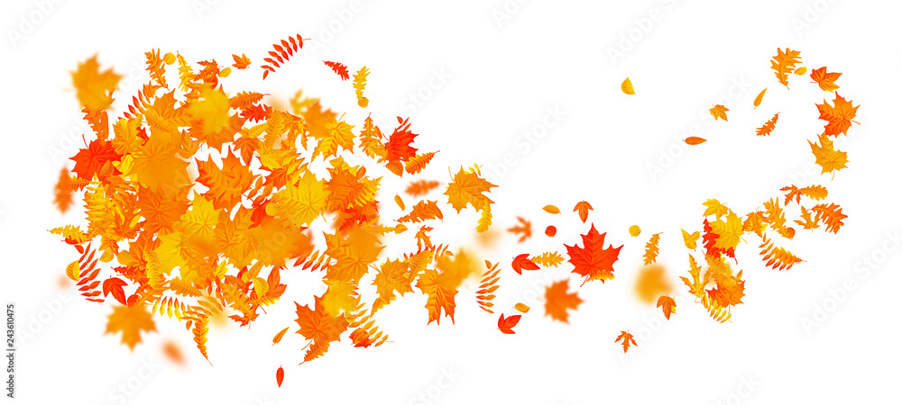 Abstract autumn banner template with colorful leaves. EPS 10
