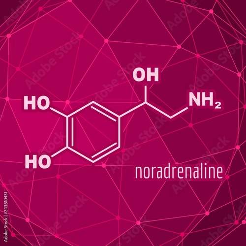 Chemical molecular formula hormone noradrenaline. Infographics illustration.