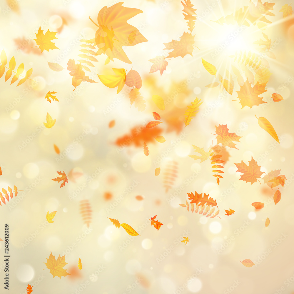 Autumn background with natural leaves and bright sunlight. EPS 10 Autumn background with natural leaves and bright sunlight. EPS 10