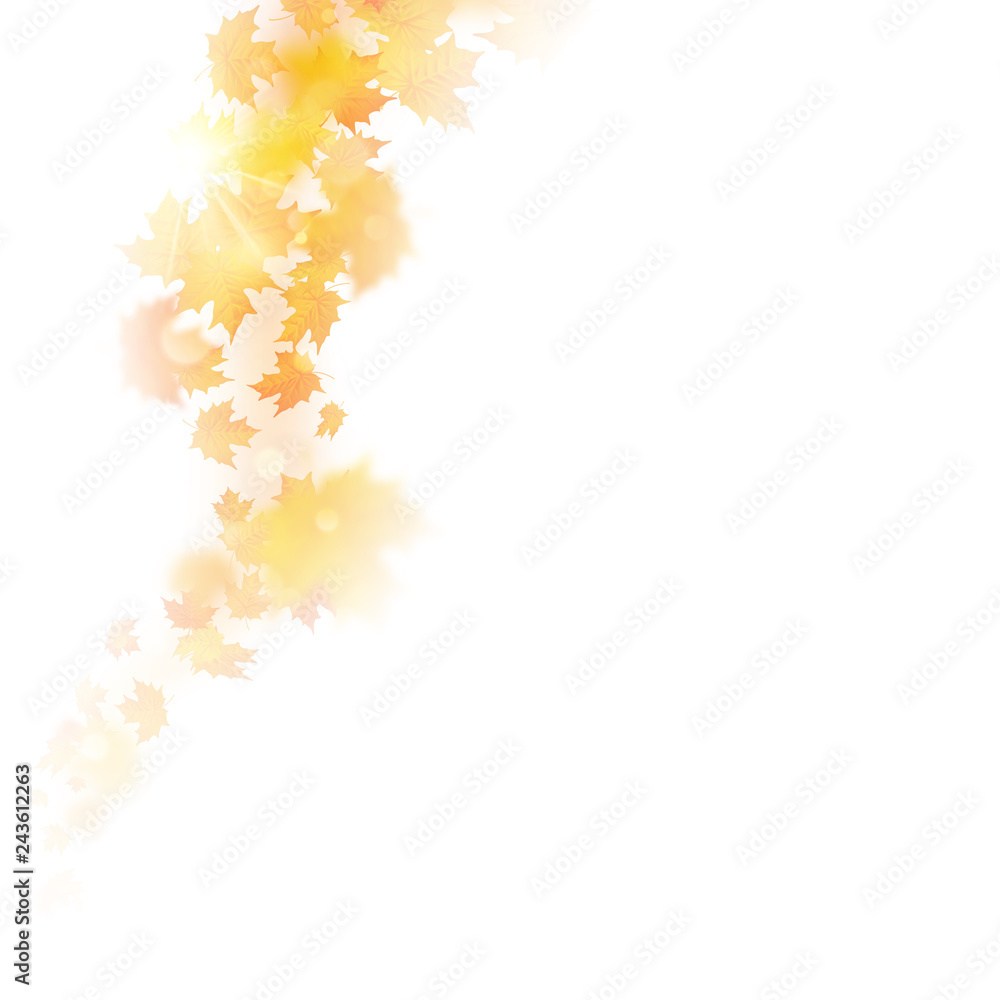 Autumn decoration, composition with maple leaves. EPS 10
